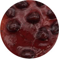 20251009_133346_1430664287