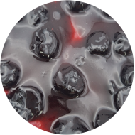 20251009_133947_1306467189