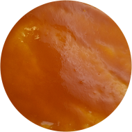 20251009_140739_1257753715