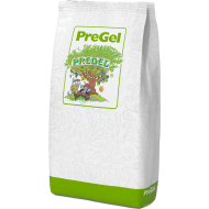 pregel_zacsk_1721277695
